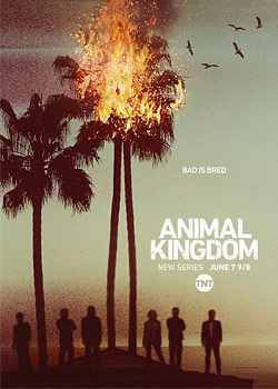 Animal Kingdom